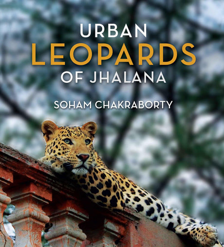 Urban Leopards of Jhalana - Retail Maharaj