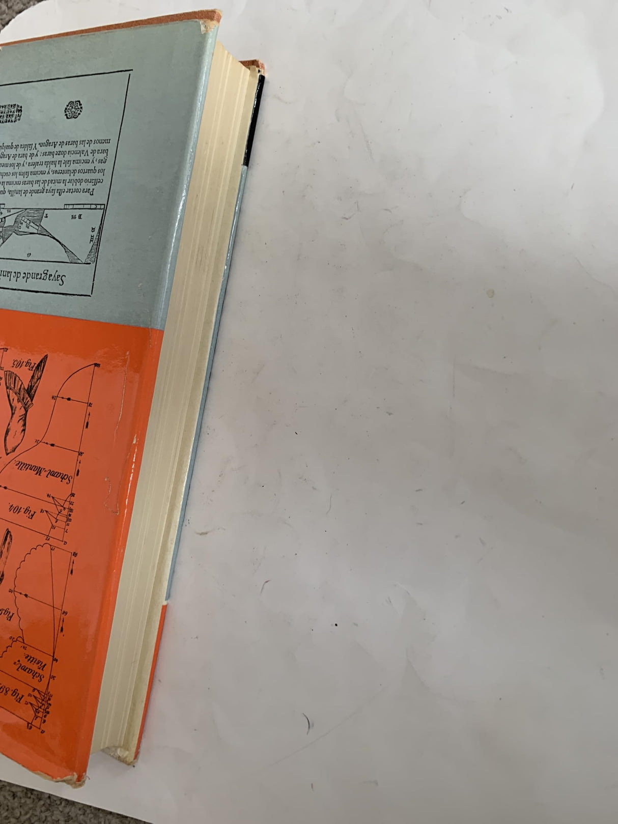 The Cut of Women's Clothes