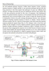 Basics of Immunology