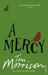 A Mercy - Retail Maharaj