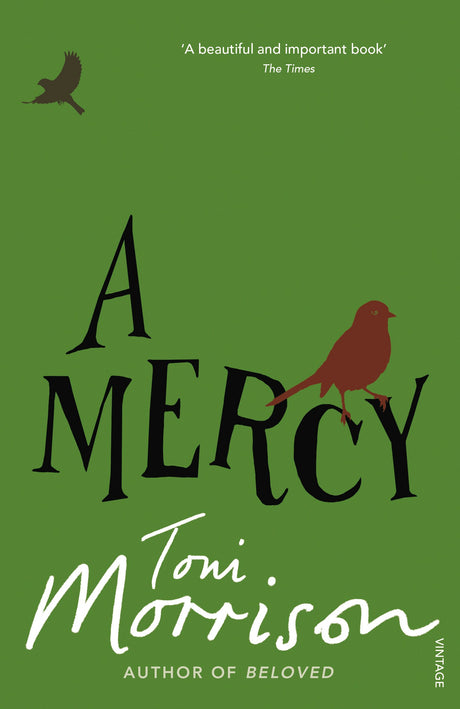 A Mercy - Retail Maharaj