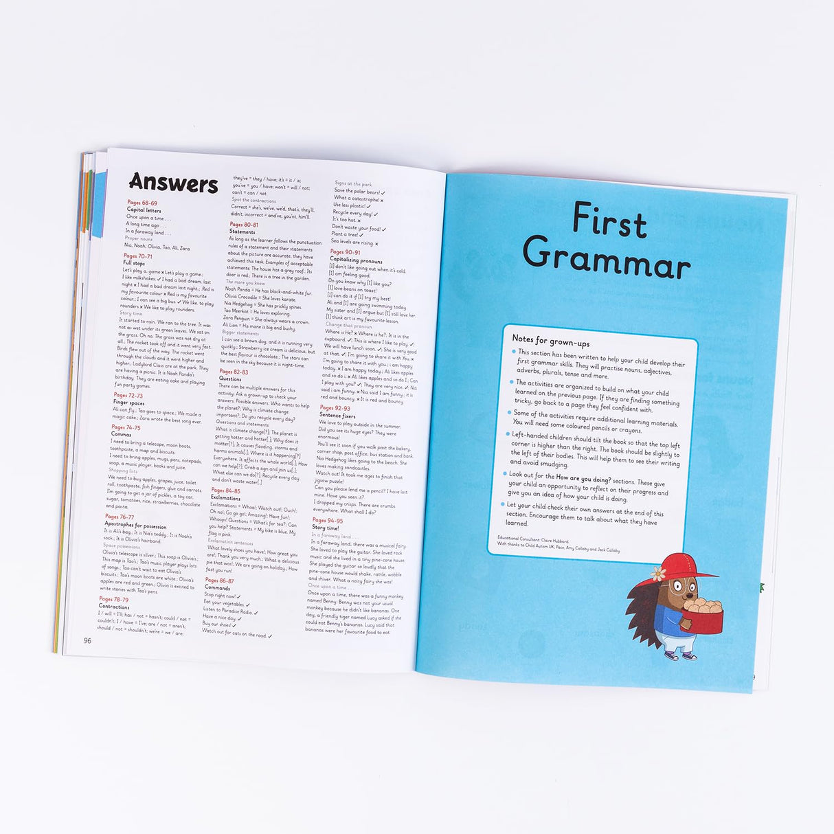 Key English Skills: A Learn With Ladybird 4 in 1 Activity Book – Handwriting Practice, First Spelling, First Punctuation & First Grammer - Practice Skills for School (5-7 Years)