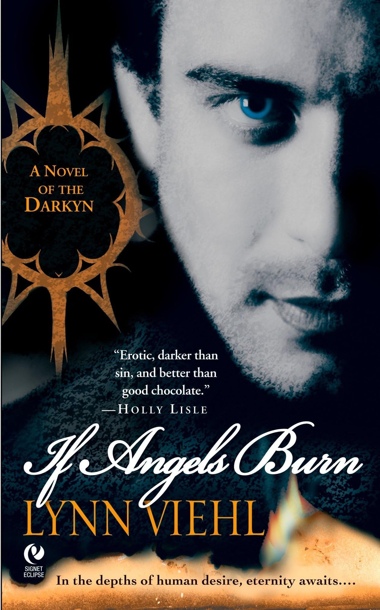 If Angels Burn: A Novel of the Darkyn: 1