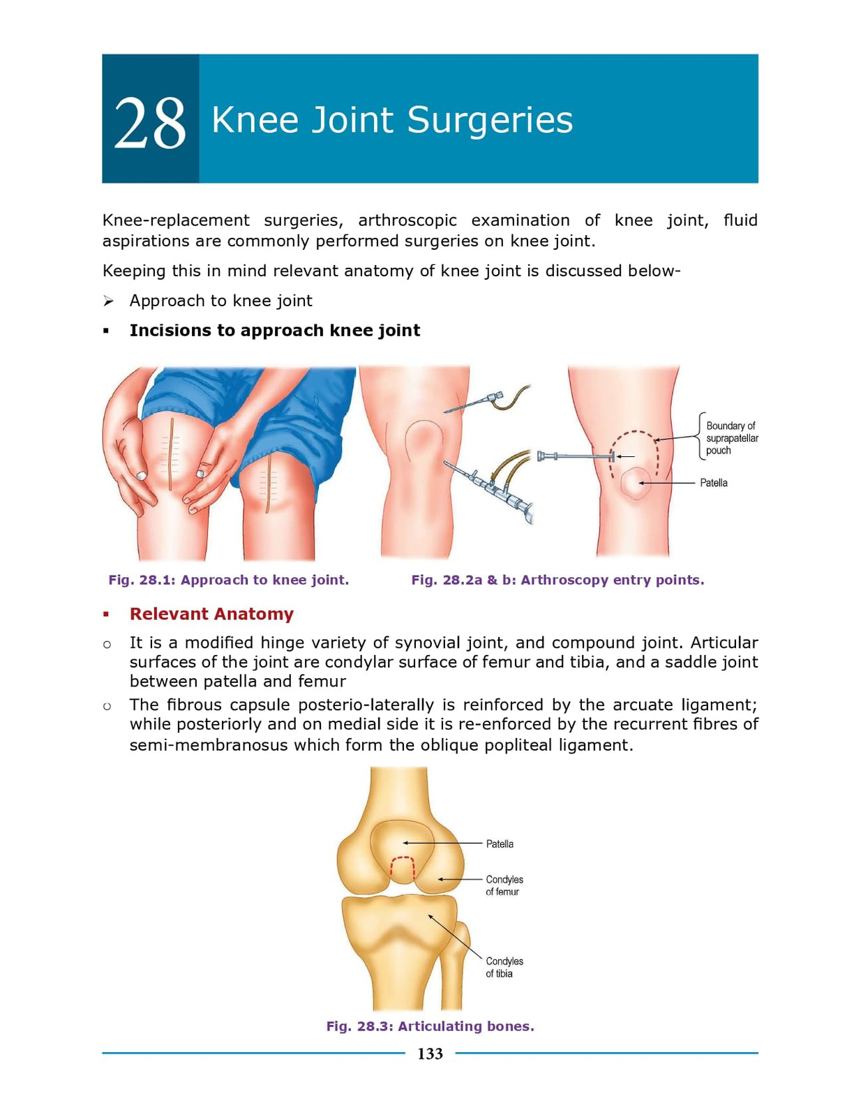 Essential Surgical Anatomy 1st/2026