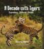 A Decade with Tigers: Supremacy. Solitude. Stripes - Retail Maharaj