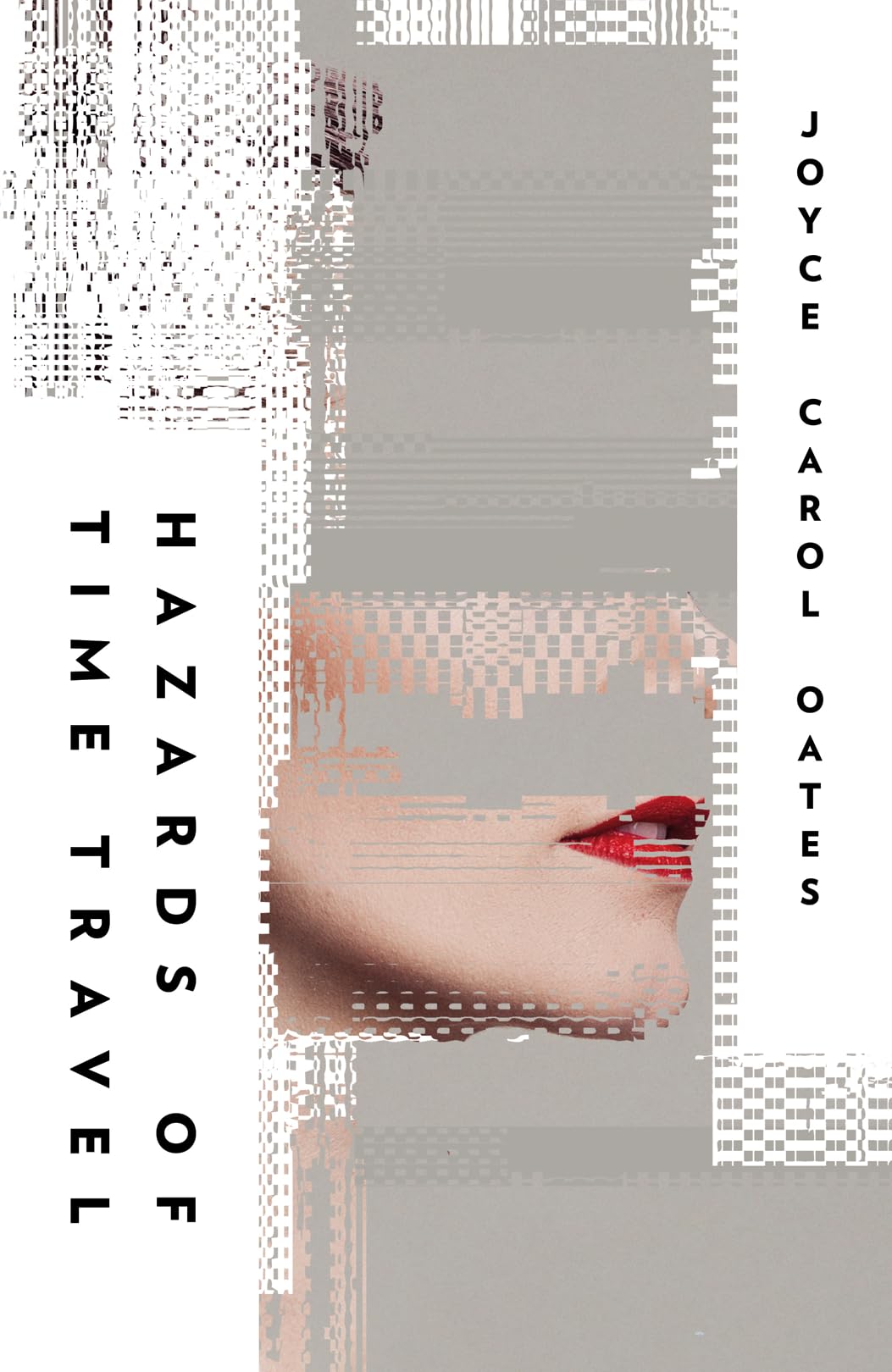 Hazards of Time Travel - Retail Maharaj