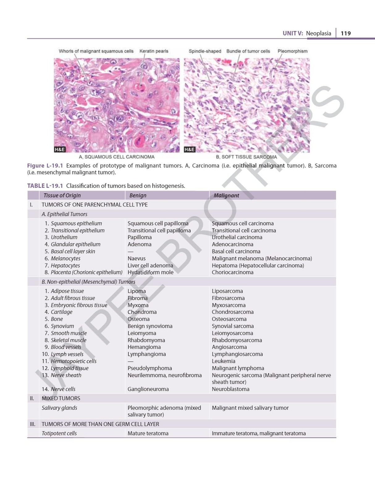 ESSENTIAL PATHOLOGY FOR PHYSIOTHERAPY STUDENTS