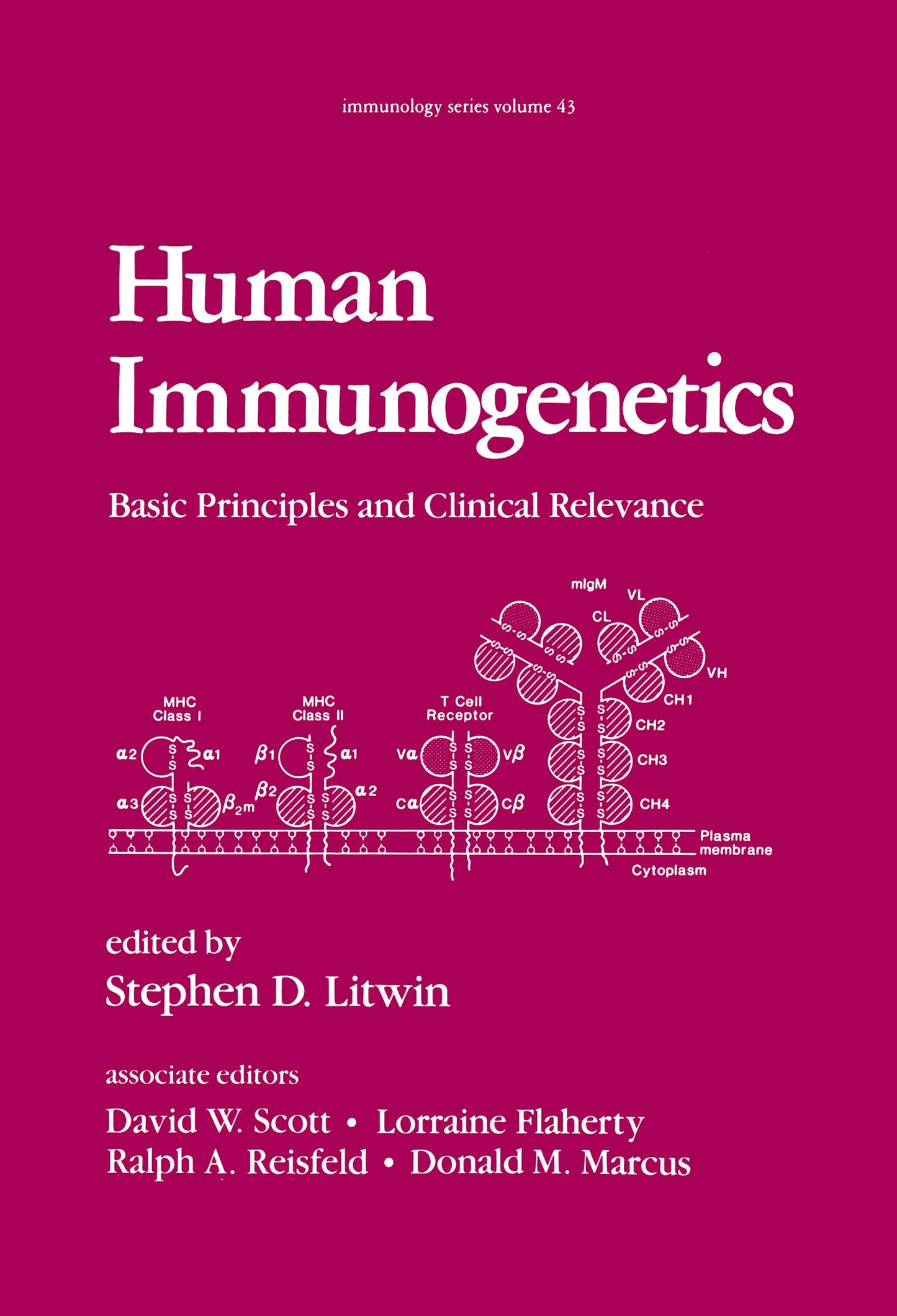 Human Immunogenetics: Basic Principles and Clinical Relevance: 43 (Immunology)