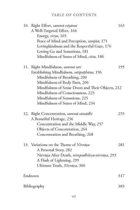 In Search Of Nirvana (Buddha's Path In Today's World) - Retail Maharaj