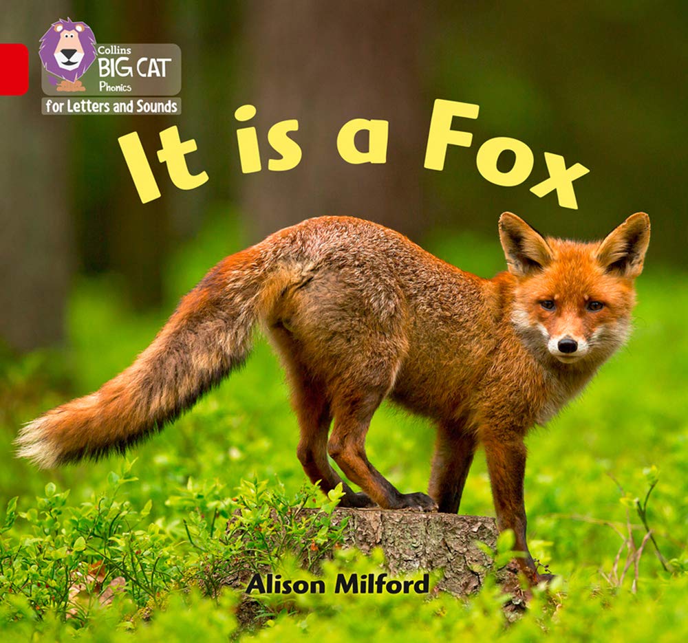 Big Cat L&S_It Is A Fox - Retail Maharaj