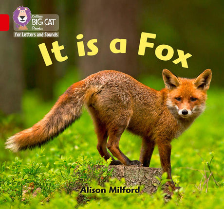 Big Cat L&S_It Is A Fox - Retail Maharaj