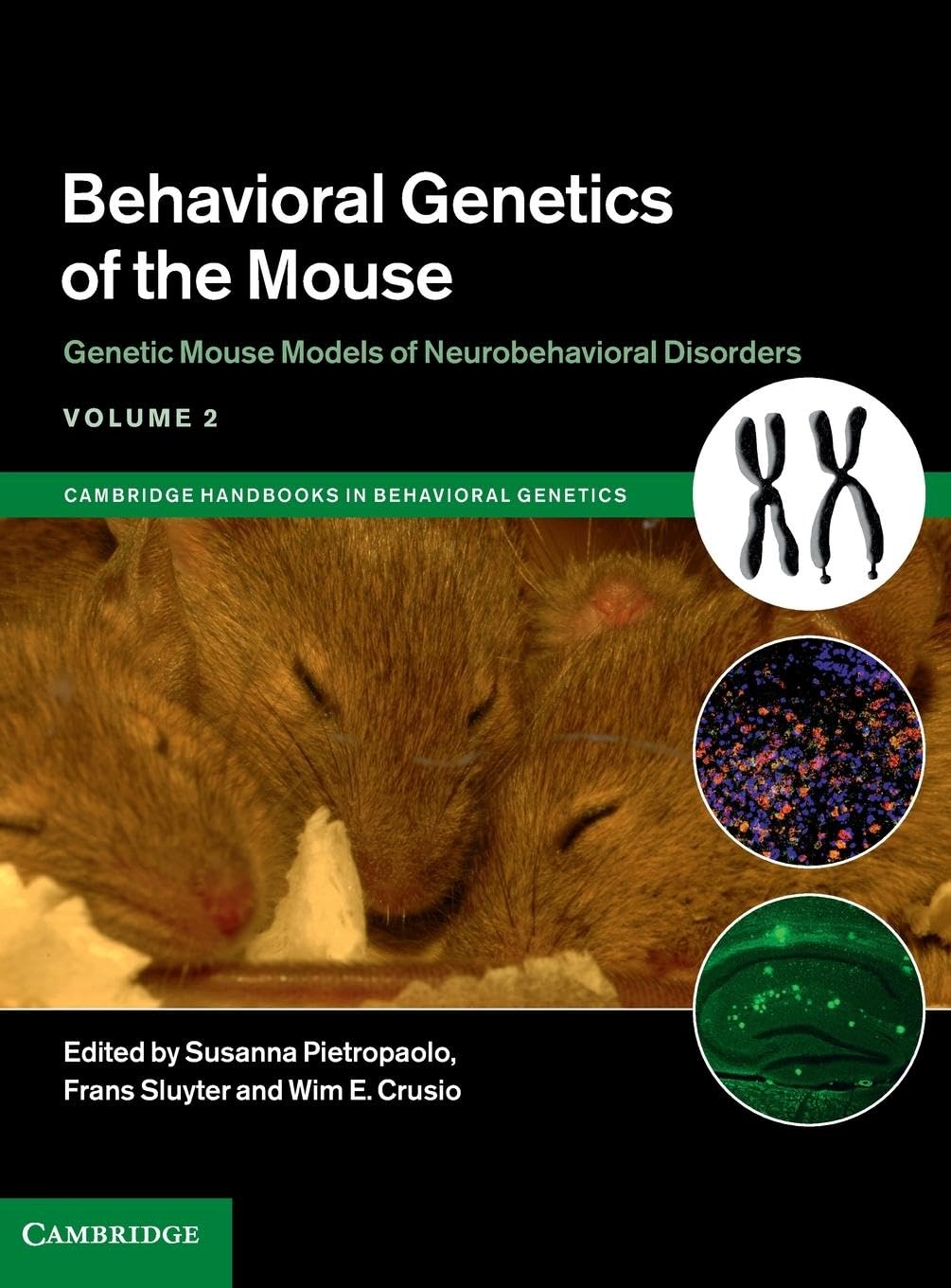 Behavioral Genetics of the Mouse: Volume 2, Genetic Mouse Models of Neurobehavioral Disorders: 220 (Cambridge Handbooks in Behavioral Genetics)