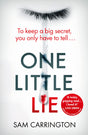 One Little Lie - Retail Maharaj