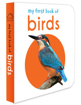 My First Book of Birds | First Birds Board Book for Babies, Toddlers & Preschoolers | Learn About Common Birds with Bright and Realistic Pictures | Early Learning Book for Kids Ages 0-3 Years - Retail Maharaj