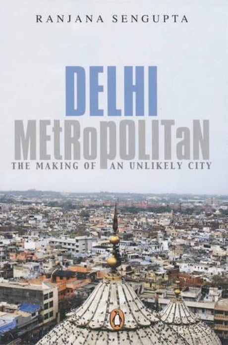 Delhi Metropolitan: The Making of an Unlikely City - Retail Maharaj