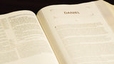 NIV, The Grace and Truth Study Bible, Leathersoft, Navy, Red Letter, Comfort Print
