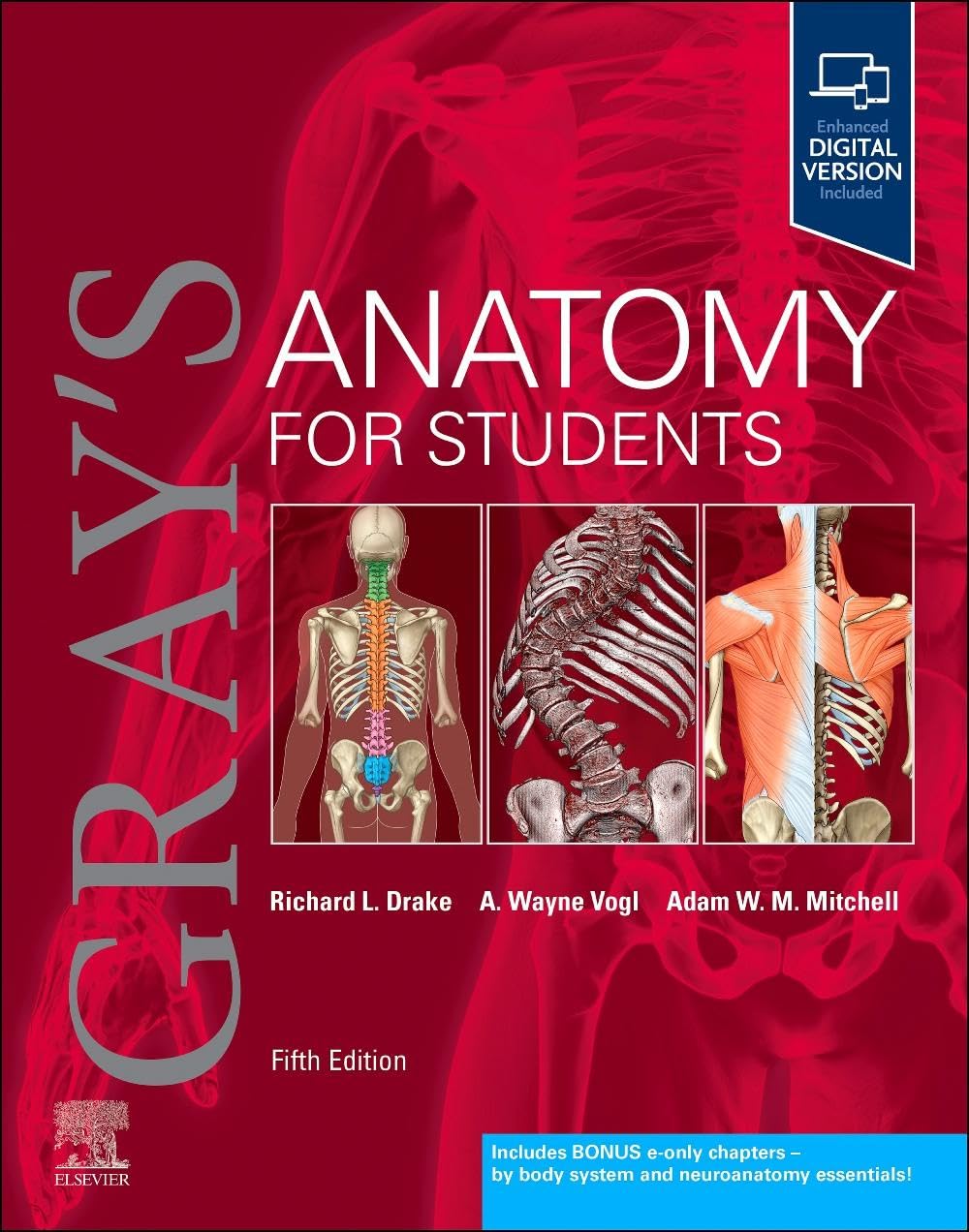 GRAYS ANATOMY FOR STUDENTS WITH ACCESS CODE 5ED (PB 2024)