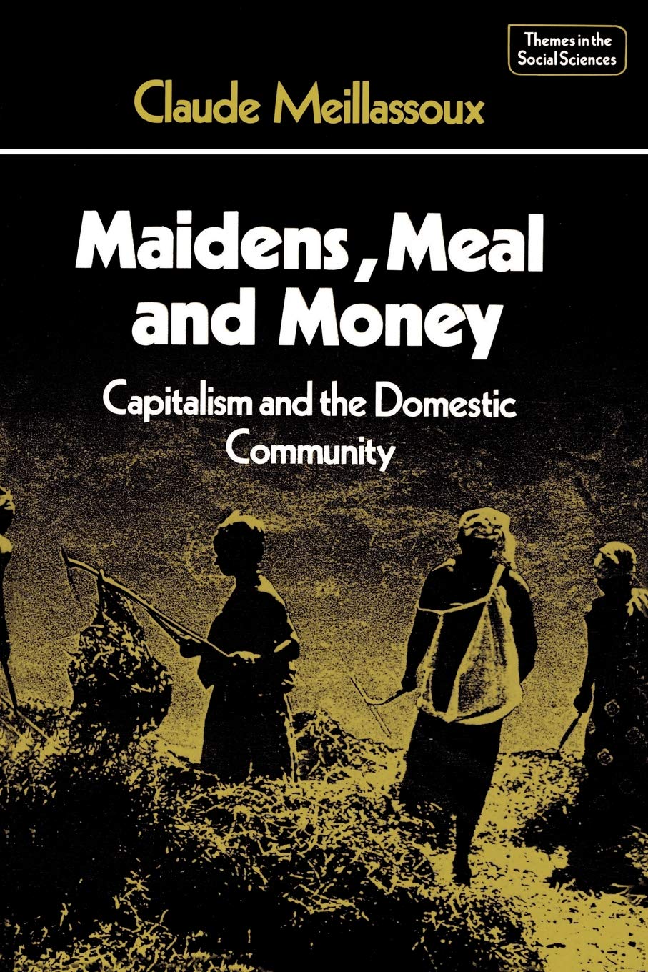 Maidens, Meal and Money: Capitalism and the Domestic Community (Themes in the Social Sciences)
