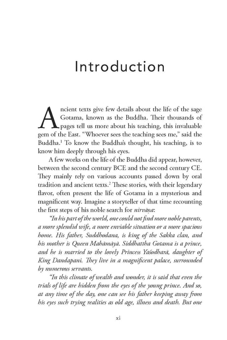 In Search Of Nirvana (Buddha's Path In Today's World) - Retail Maharaj