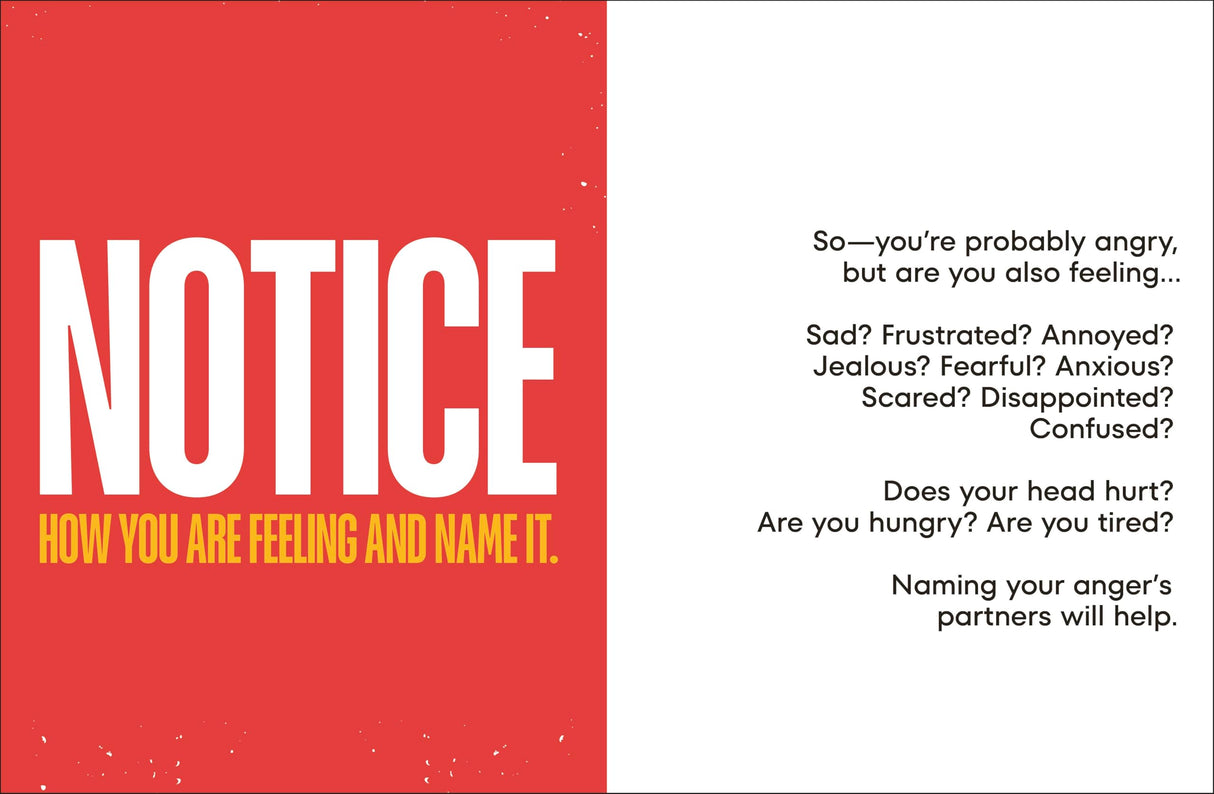 A Kids Book About Anger