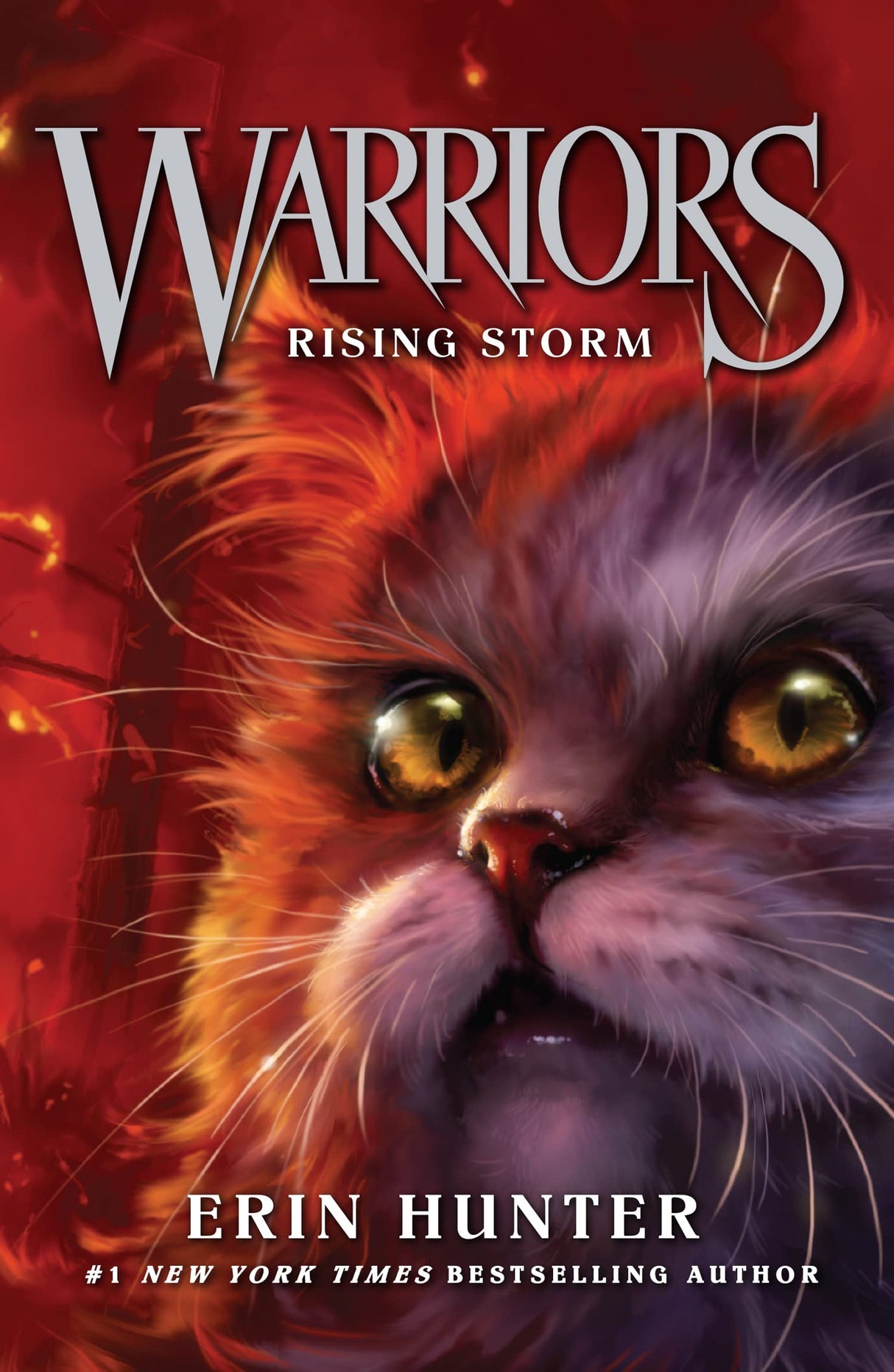 Rising Storm: FOUR CLANS. ONE DESTINY.: Book 4 (Warrior Cats)