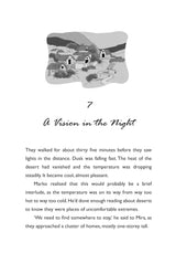 Magic Mirror Mysteries: The Traveller’s Tale - Retail Maharaj