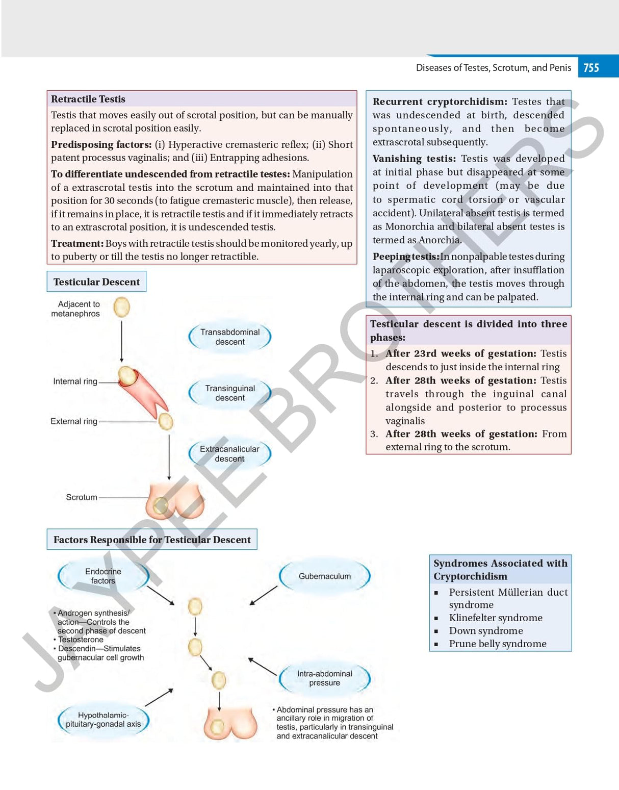 ILLUSTRATED SURGERY A BASIC ROAD MAP FOR THE POSTGRADUATES