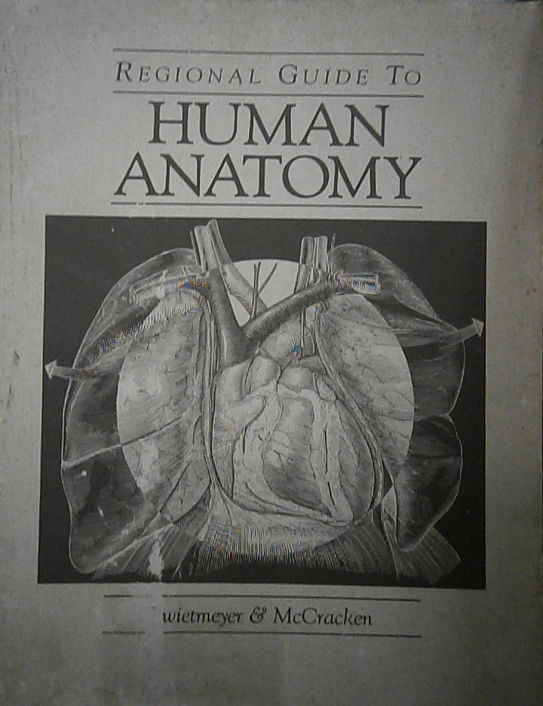 Regional Guide to Human Anatomy