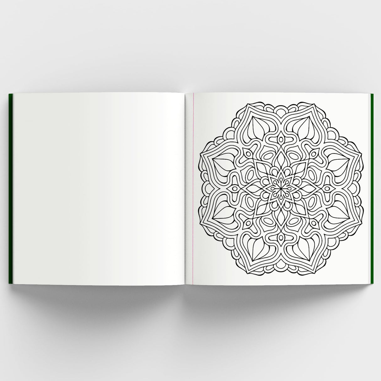 Adult Coloring Book: Meditative Mandalas for Relaxation & Stress Relief | A Mindfulness & Therapy Guide for Adults to Unwind & Boost Creativity: Adult ... Unwind & Boost Creativity [Select Learning] - Retail Maharaj