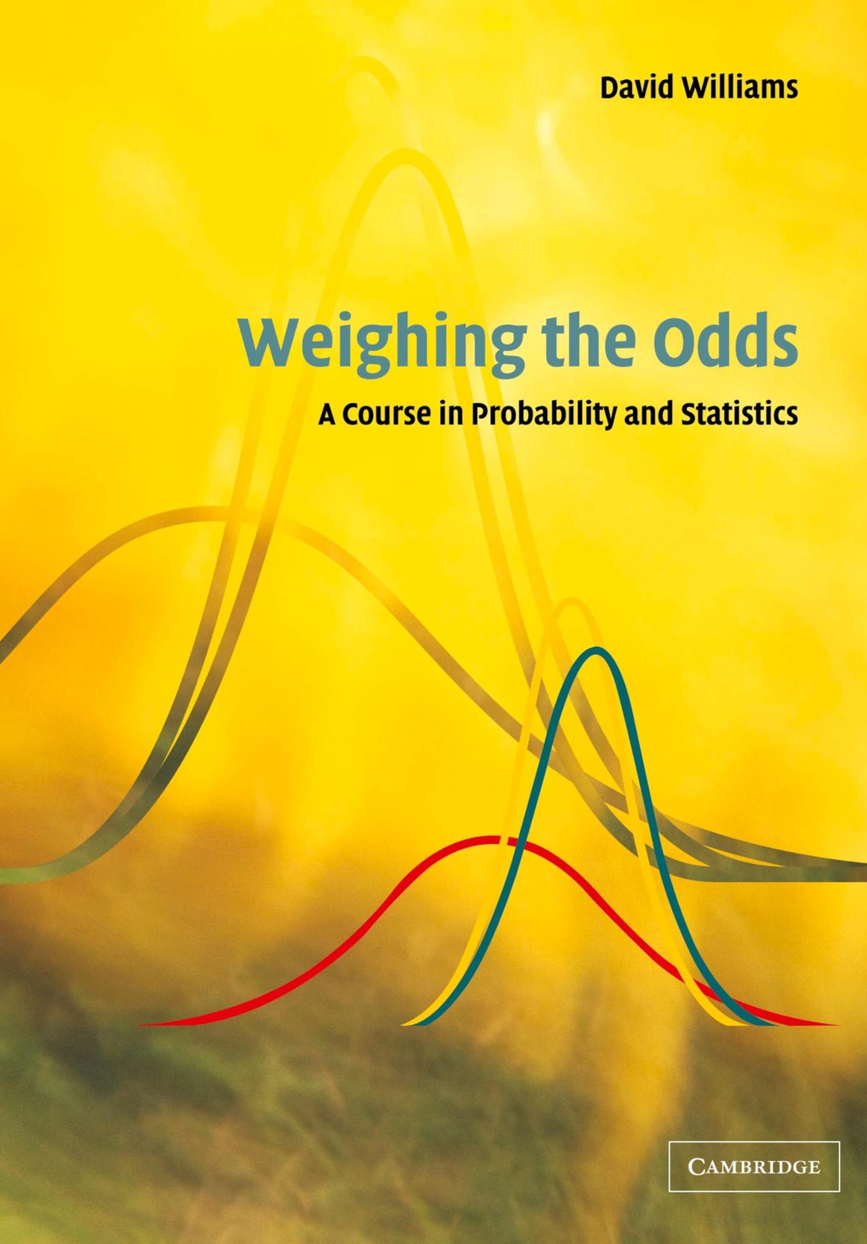 Weighing the Odds: A Course in Probability and Statistics