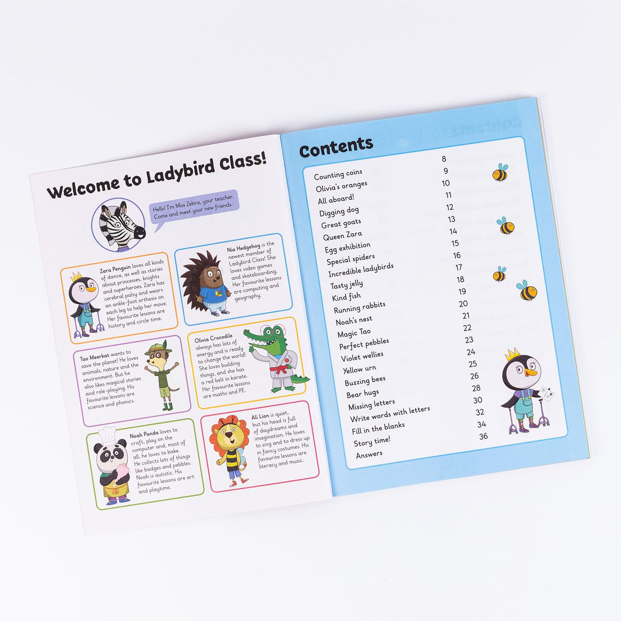 Key English Skills: A Learn With Ladybird 4 in 1 Activity Book – Handwriting Practice, First Spelling, First Punctuation & First Grammer - Practice Skills for School (5-7 Years)