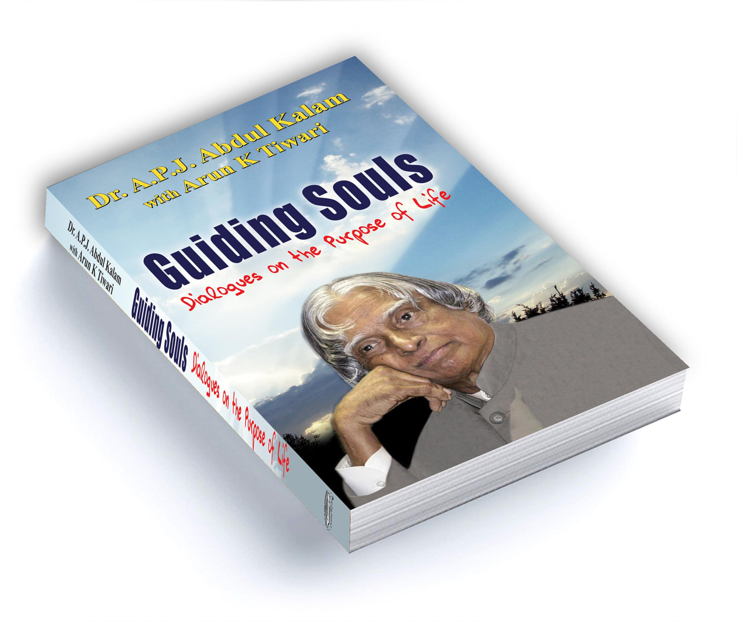 Guiding Souls: Dialogues on the Purpose of Life