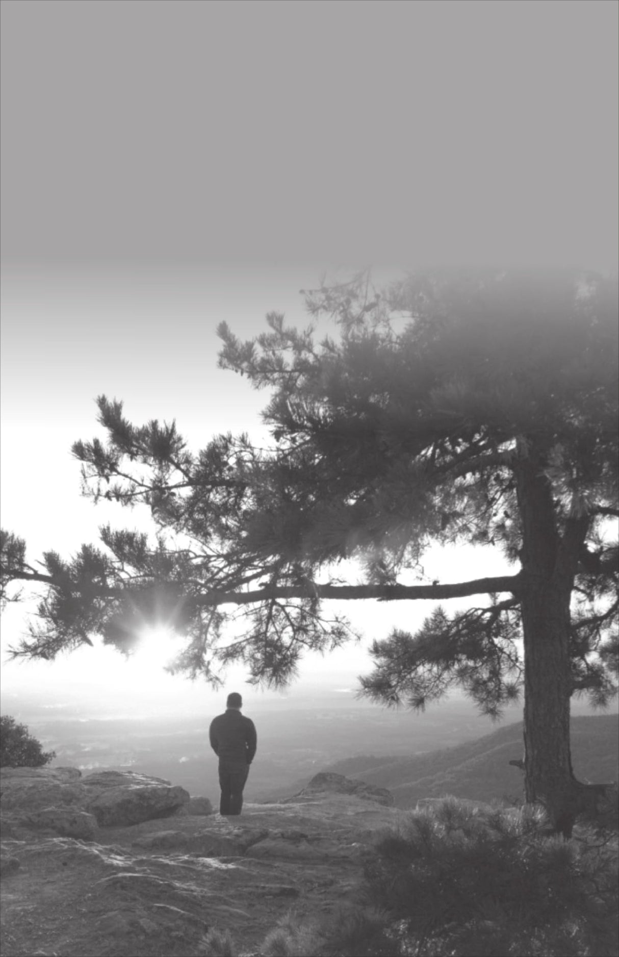 IMPRESSIONS & CELEBRATIONS