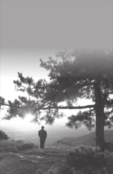 IMPRESSIONS & CELEBRATIONS