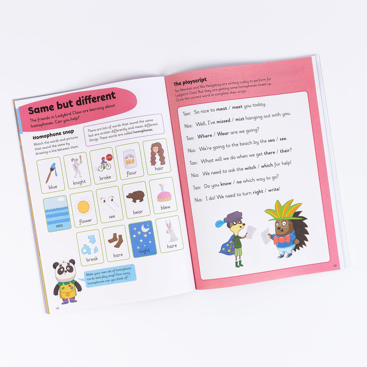 Key English Skills: A Learn With Ladybird 4 in 1 Activity Book – Handwriting Practice, First Spelling, First Punctuation & First Grammer - Practice Skills for School (5-7 Years)