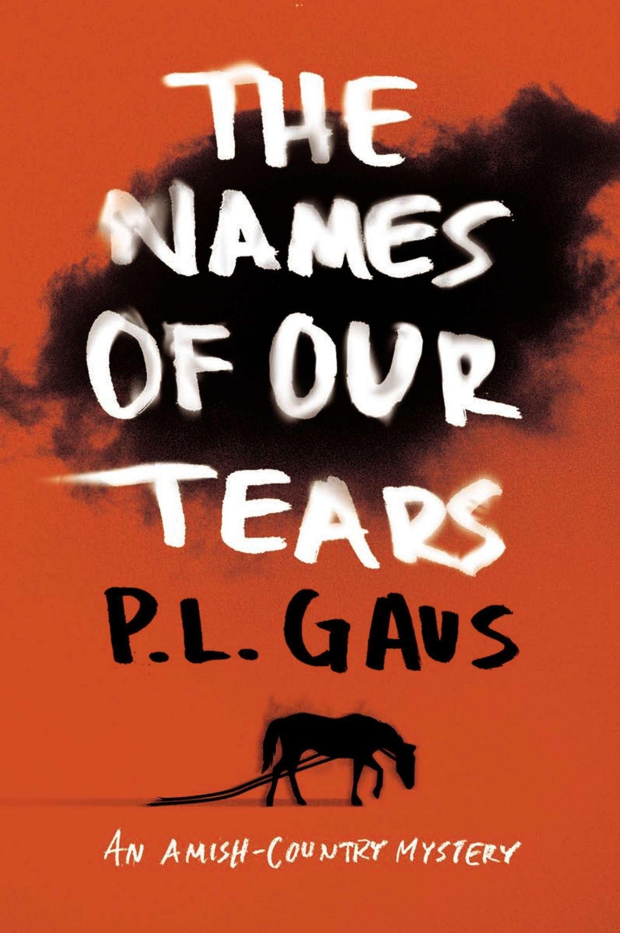 The Names of Our Tears: An Amish-Country Mystery: 8