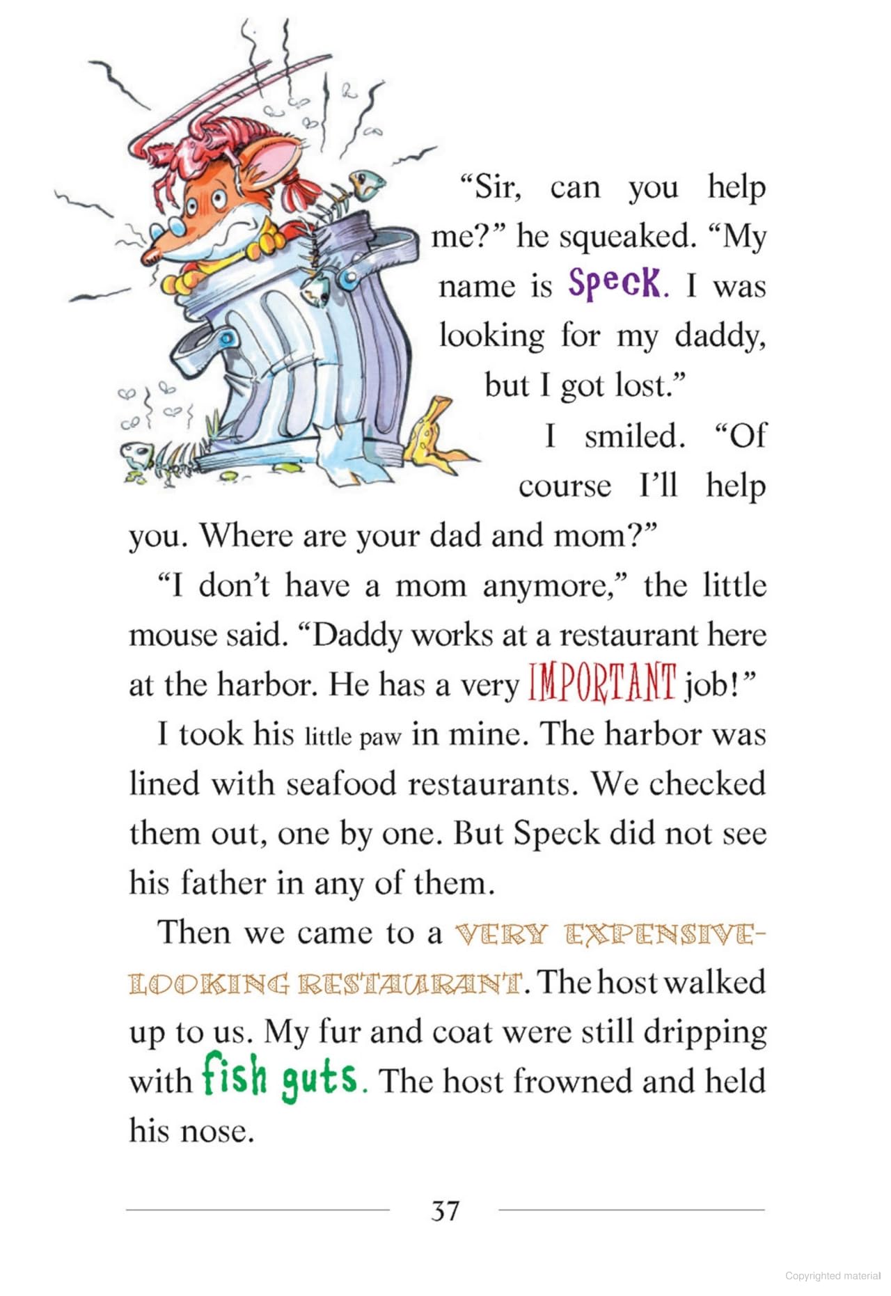 GERONIMO STILTON #19 MY NAME IS STILTON GERONIMO STILTON