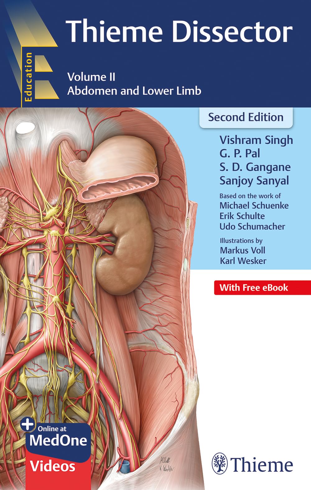 THIEME DISSECTOR ABDOMEN AND LOWER LIMB VOLUME 2 WITH ACCESS CODE 2ED (PB 2023)