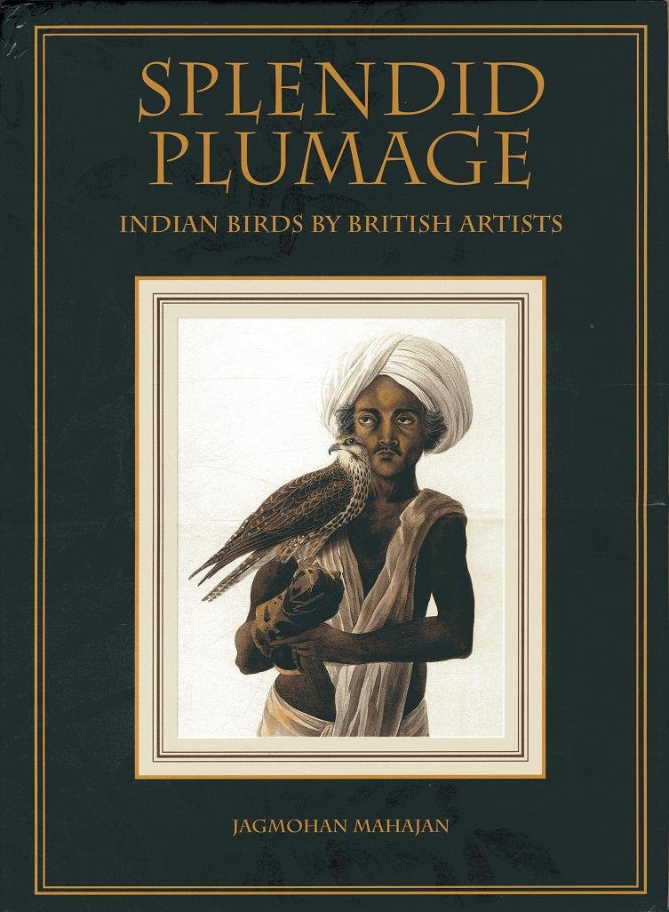 Splendid Plumage Indian Birds by British Artist - Retail Maharaj