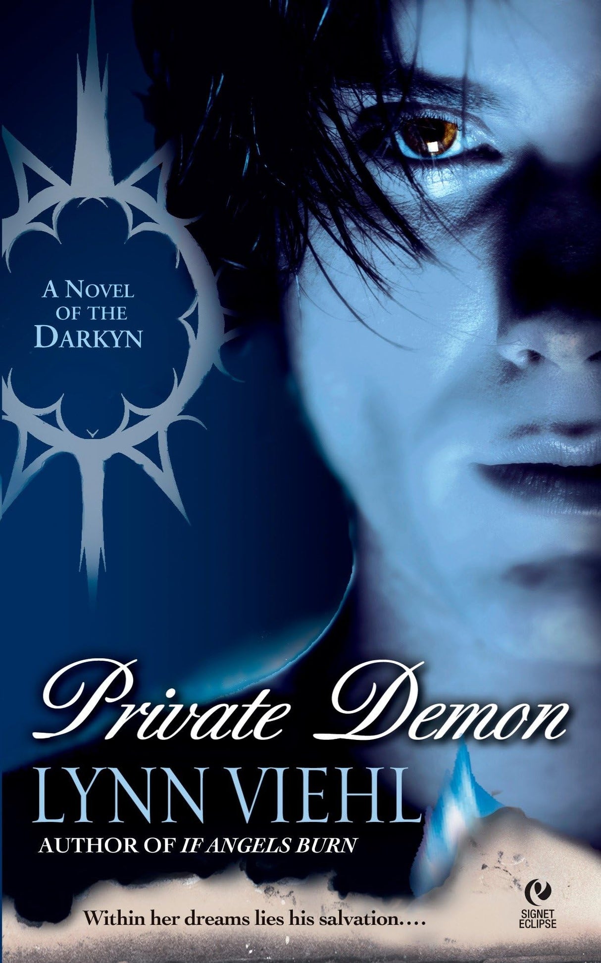 Private Demon: A Novel of the Darkyn: 2