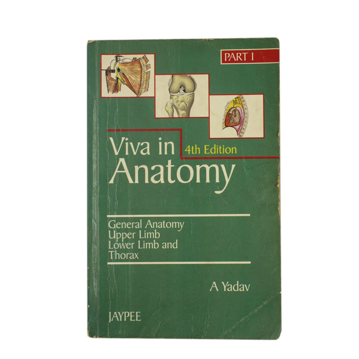 Viva In Anatomy Part 2