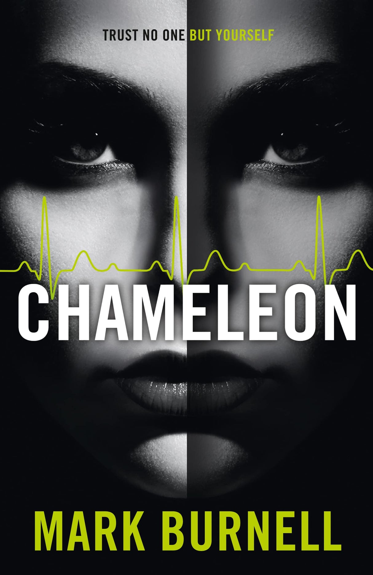 Chameleon: Book 2 (The Stephanie Fitzpatrick series)