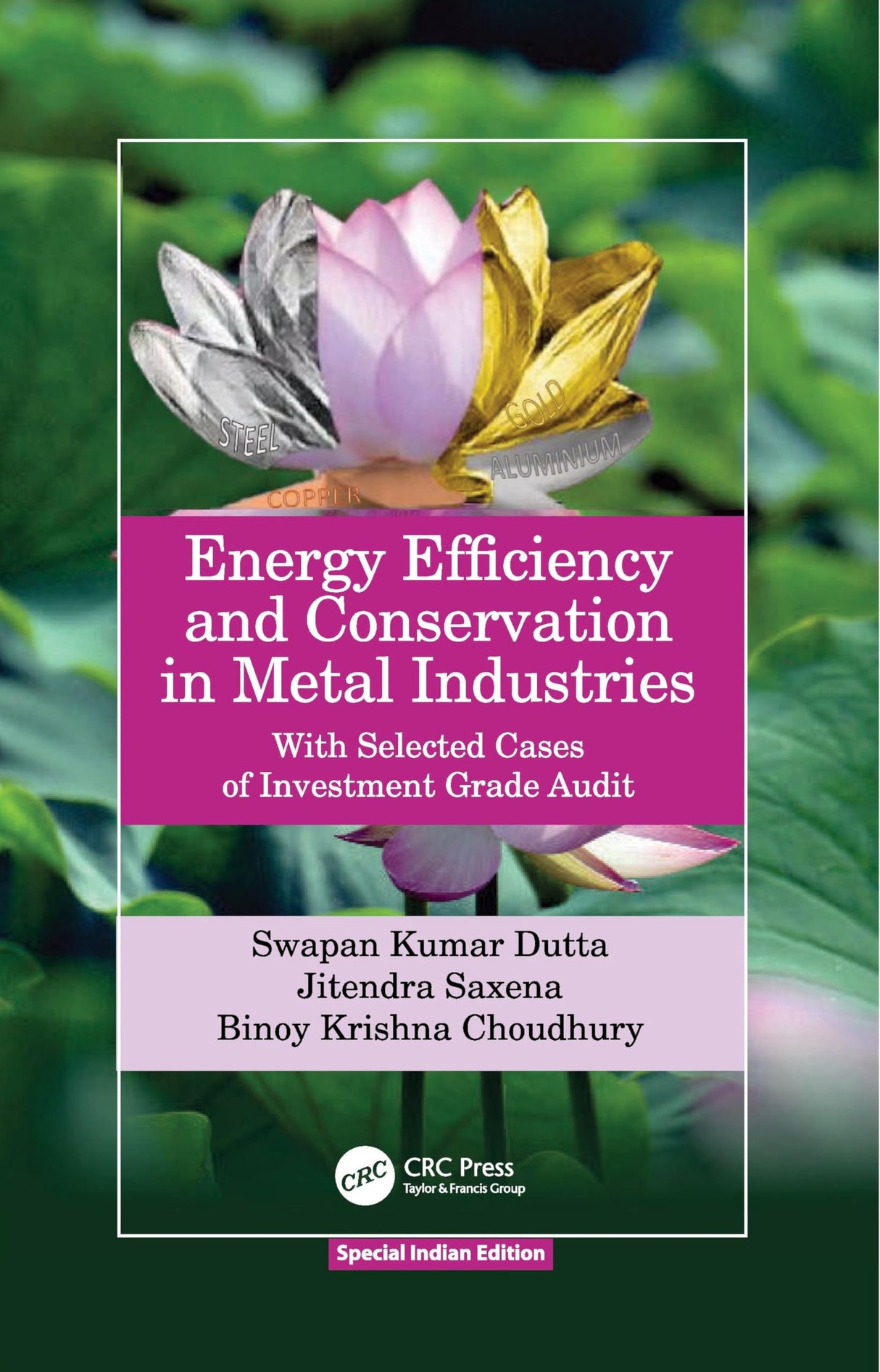 Energy Efficiency and Conservation in Metal Industries - Retail Maharaj