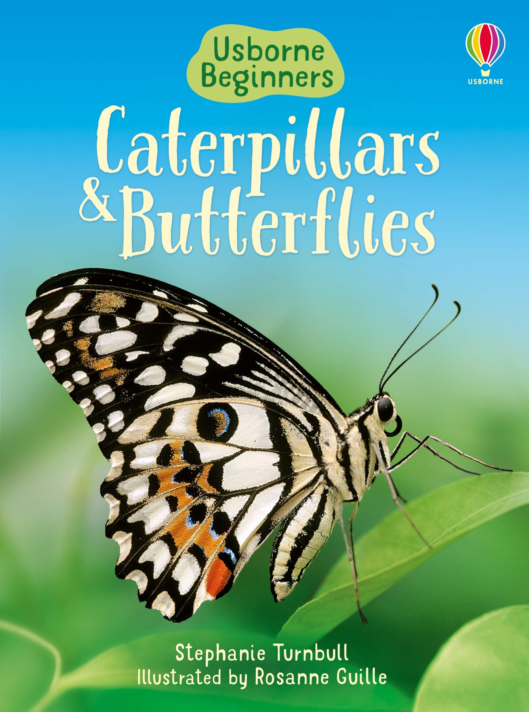 CATERPILLARS AND BUTTERFLIES