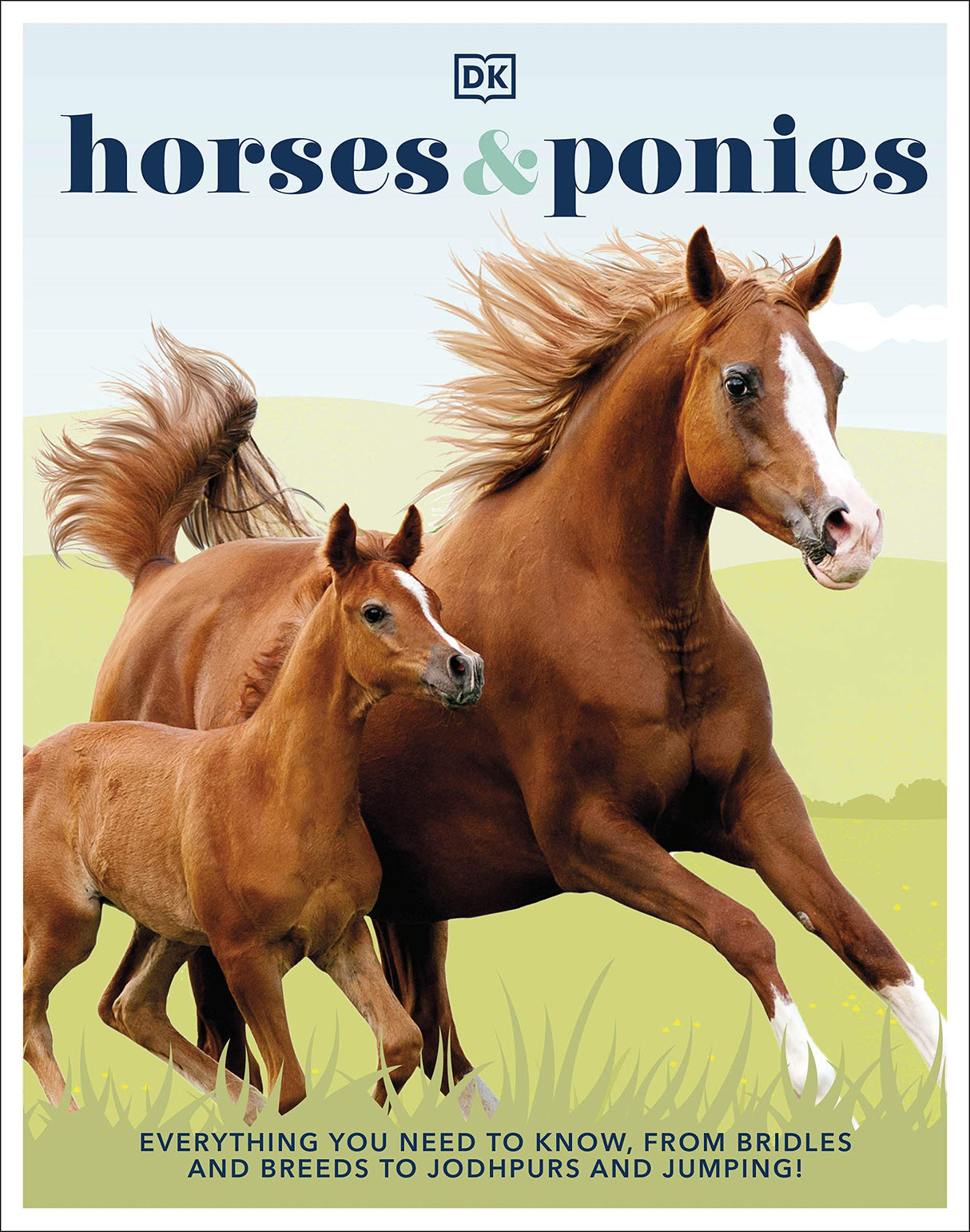 Horses & Ponies: Everything You Need to Know, From Bridles and Breeds to Jodhpurs and Jumping! - Retail Maharaj