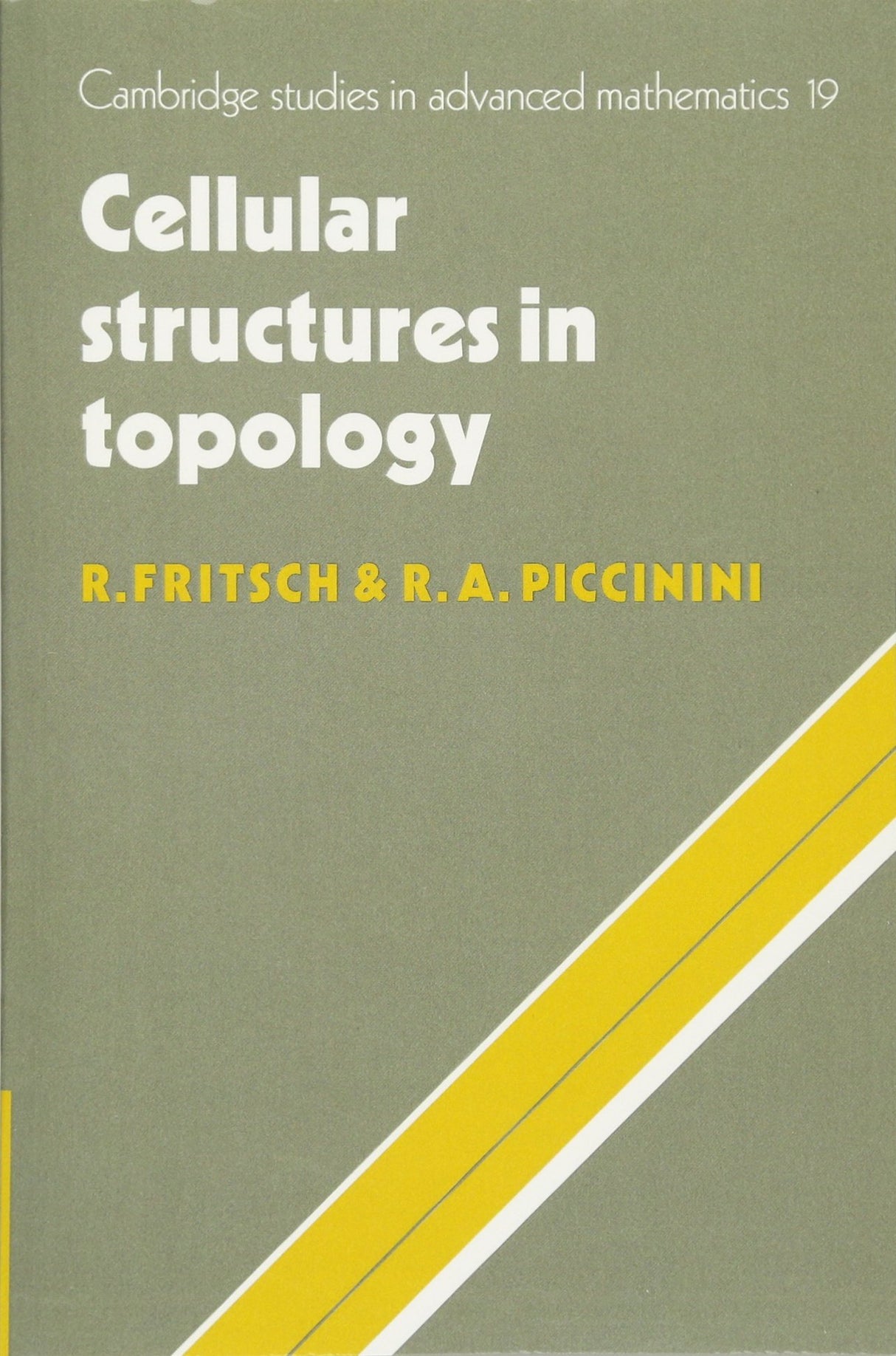 Cellular Structures in Topology: 19 (Cambridge Studies in Advanced Mathematics, 19)