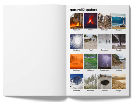 Peel & Paste - Pictorial Sticker Book For School Projects - Book 3 - Retail Maharaj