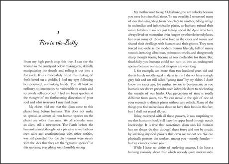 Kabuko The Djinn - Retail Maharaj