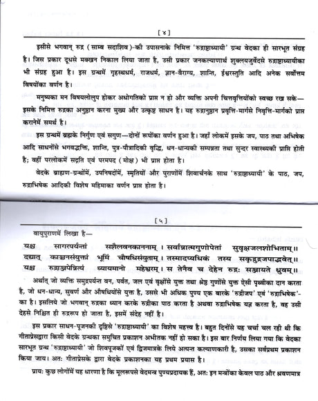 Rudrashtadhyayi [Hindi Sanskrit] - Retail Maharaj