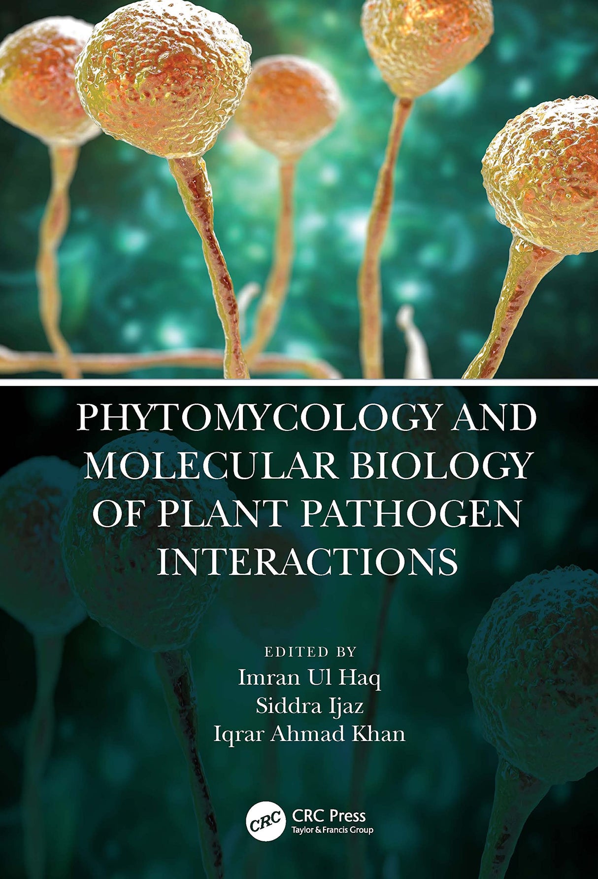 PHYTOMYCOLOGY AND MOLECULAR BIOLOGY OF PLANT PATHOGEN INTERACTIONS - Retail Maharaj